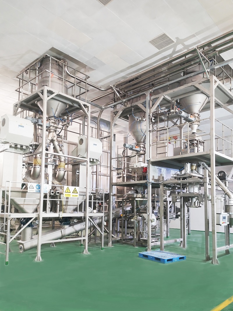 custom powder pneumatic conveying system