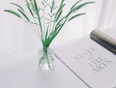 c5fd98e91ae1745e0c25f626a2637008