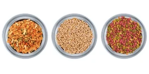 pet food 1200x600 1