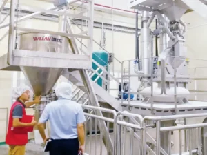 Long Distance Pneumatic Conveying Project